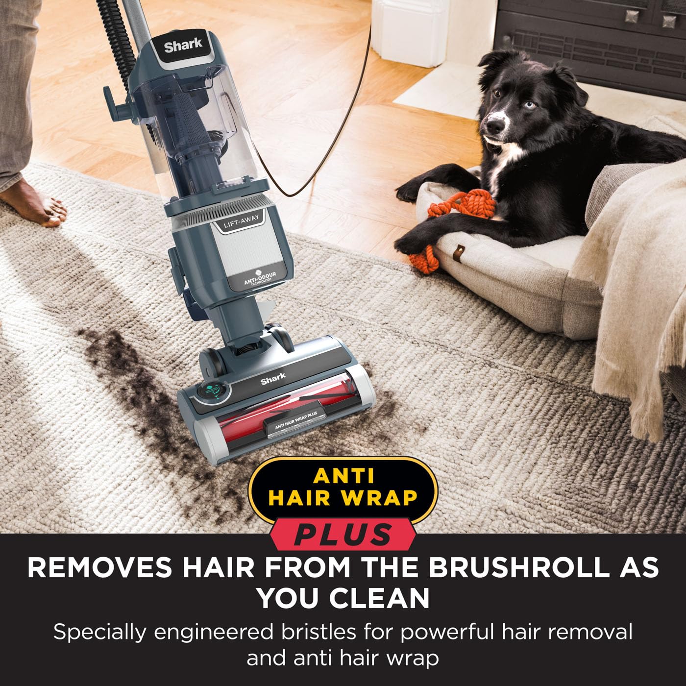 Shark Anti Hair Wrap Plus Upright Corded Pet Vacuum, 2.5L, Powered Lift-Away, Anti-Allergen Seal